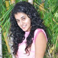 Tapsee New Stills | Picture 115446